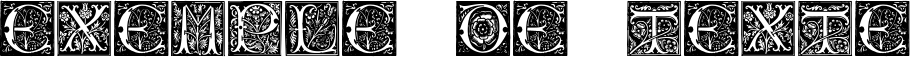 Image preview of font Initials TFB