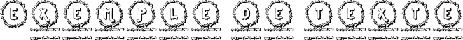 Image preview of font Bone Monogram
